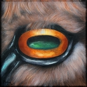 Augenblick eines Esels; Acryl auf Leinwand;
30 x 30 cm